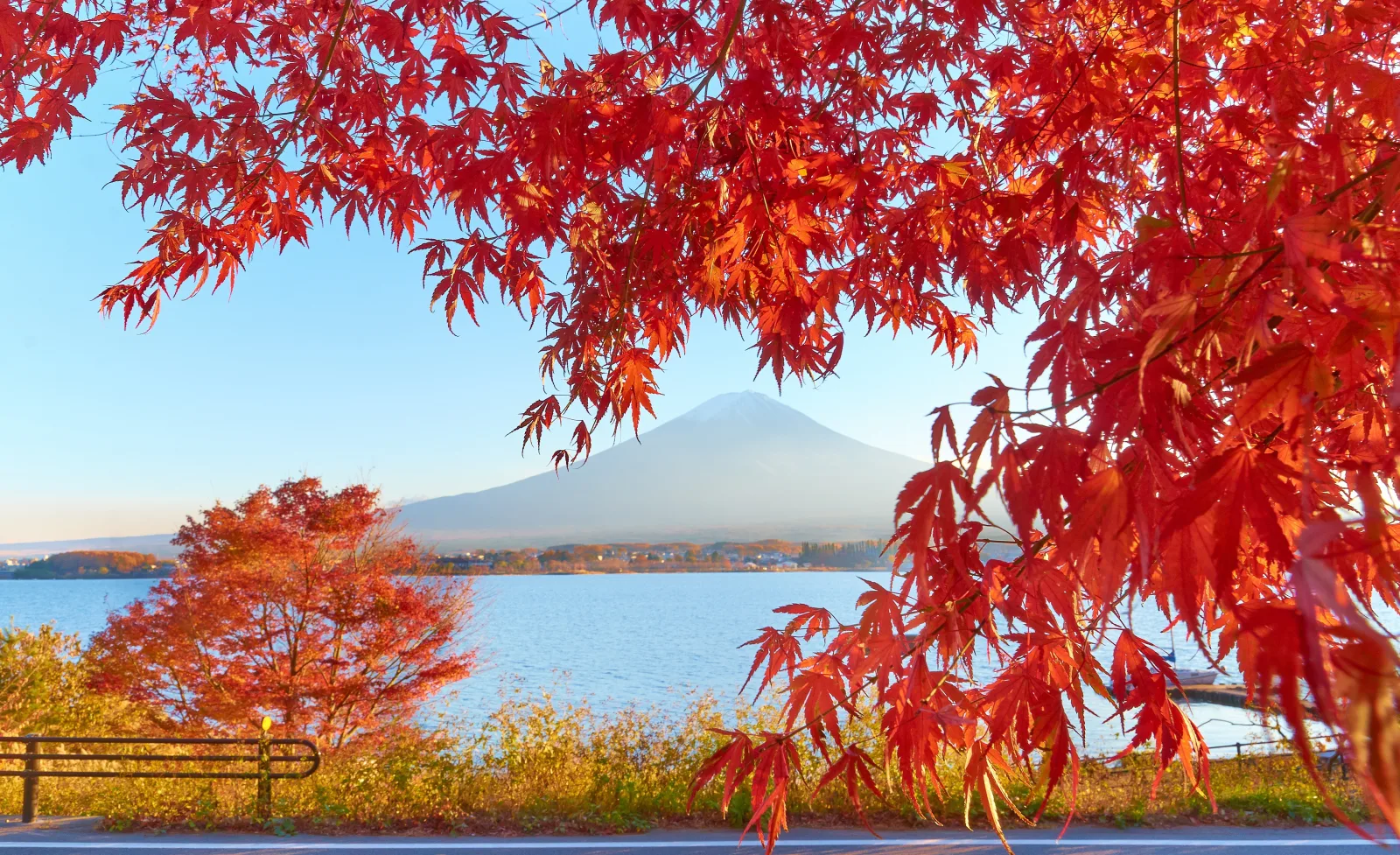 El Monte Fuji y el lago Kawaguchiko enmarcados por arces otoñales