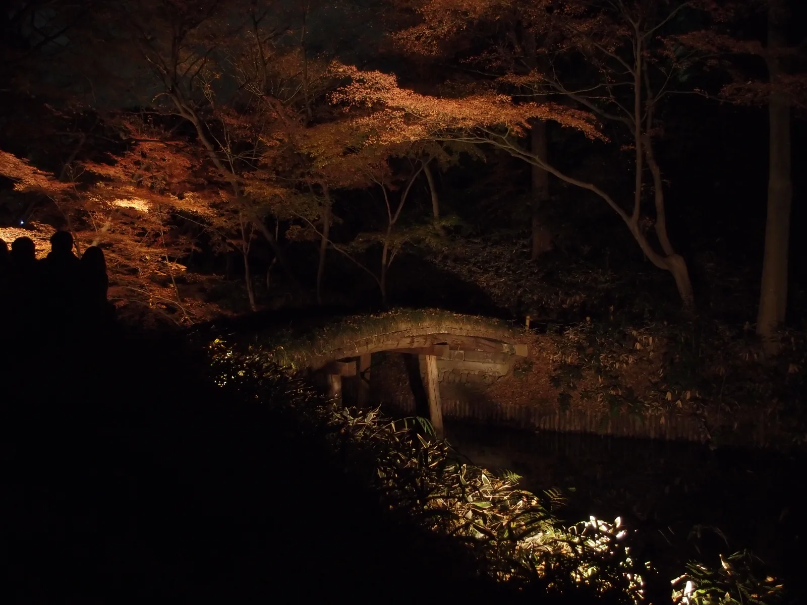 Iluminación otoñal nocturna reflejada en el estanque del jardín Rikugien, Tokio