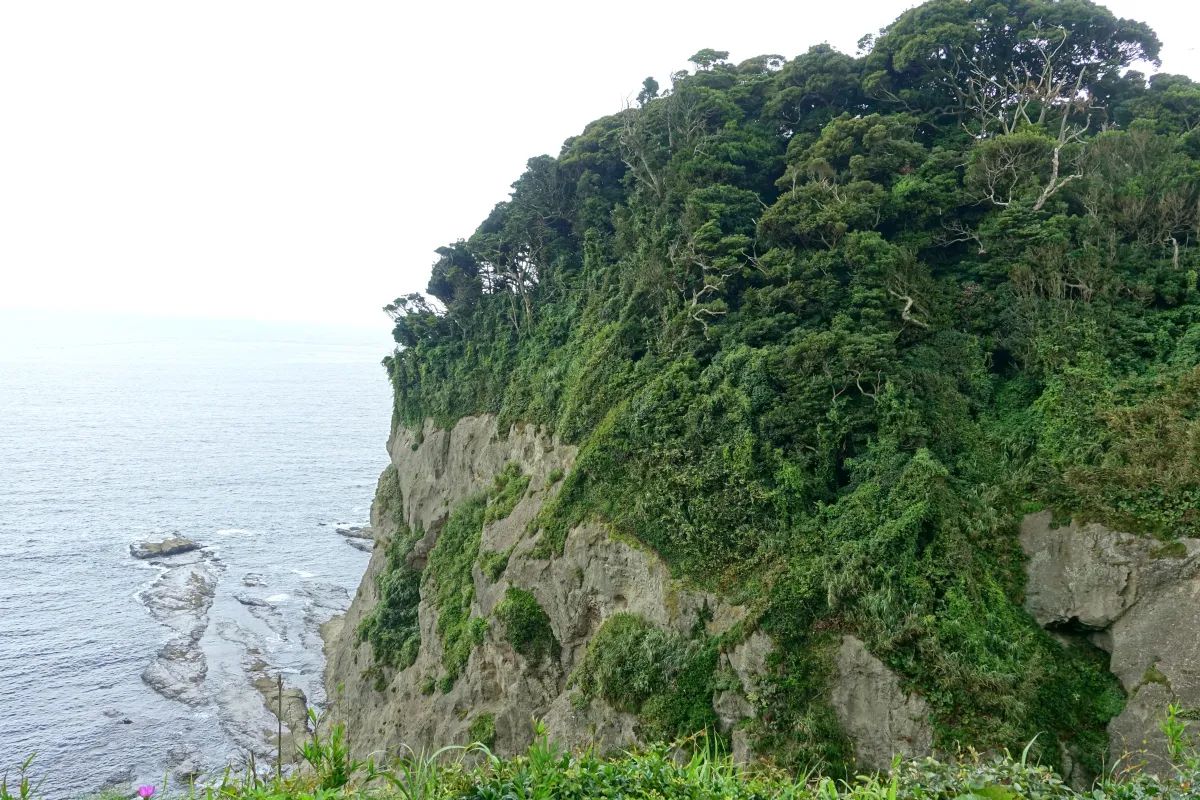 Coastal cliffs near Iwaya Cave on Enoshima