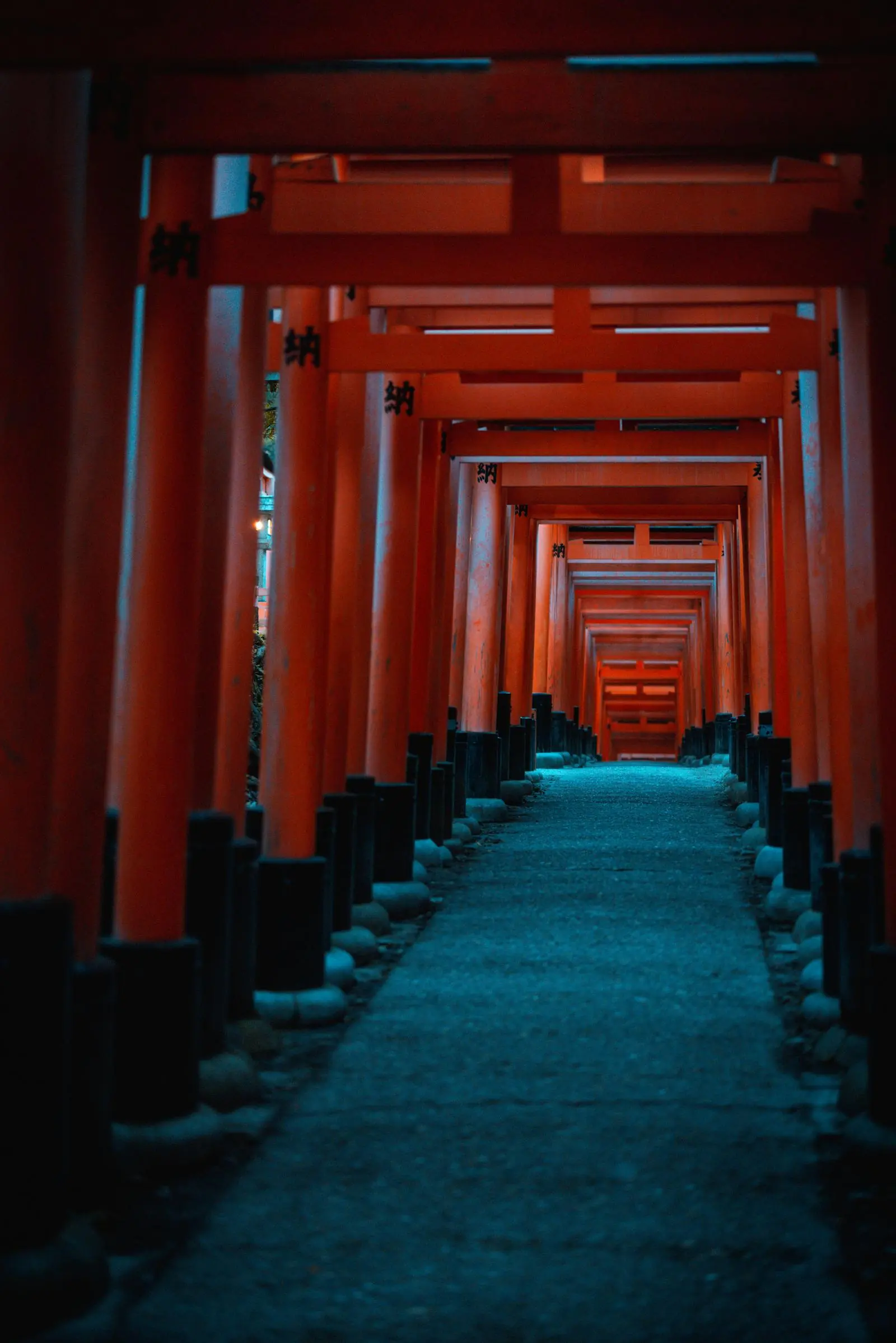 Thousands of vermillion torii gates forming a tunnel at Fushimi Inari Shrine in Kyoto