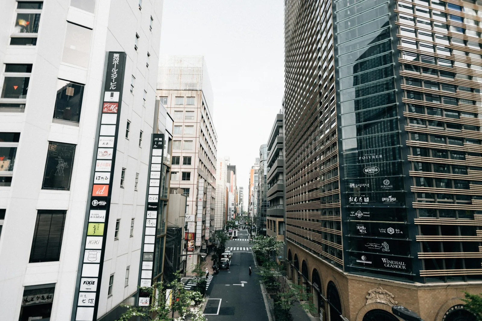 Tsukiji to Ginza: The Food Walk Tokyo Locals Do on Their Day Off
