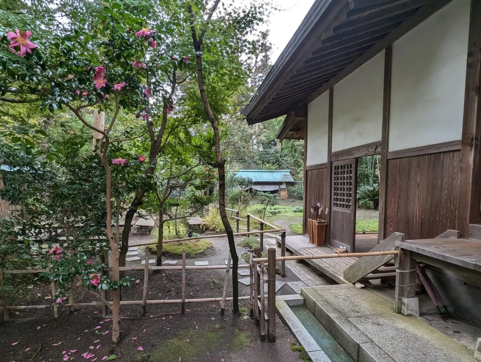 Serene Japanese temple garden in Kamakura with traditional tea house and camellia flowers