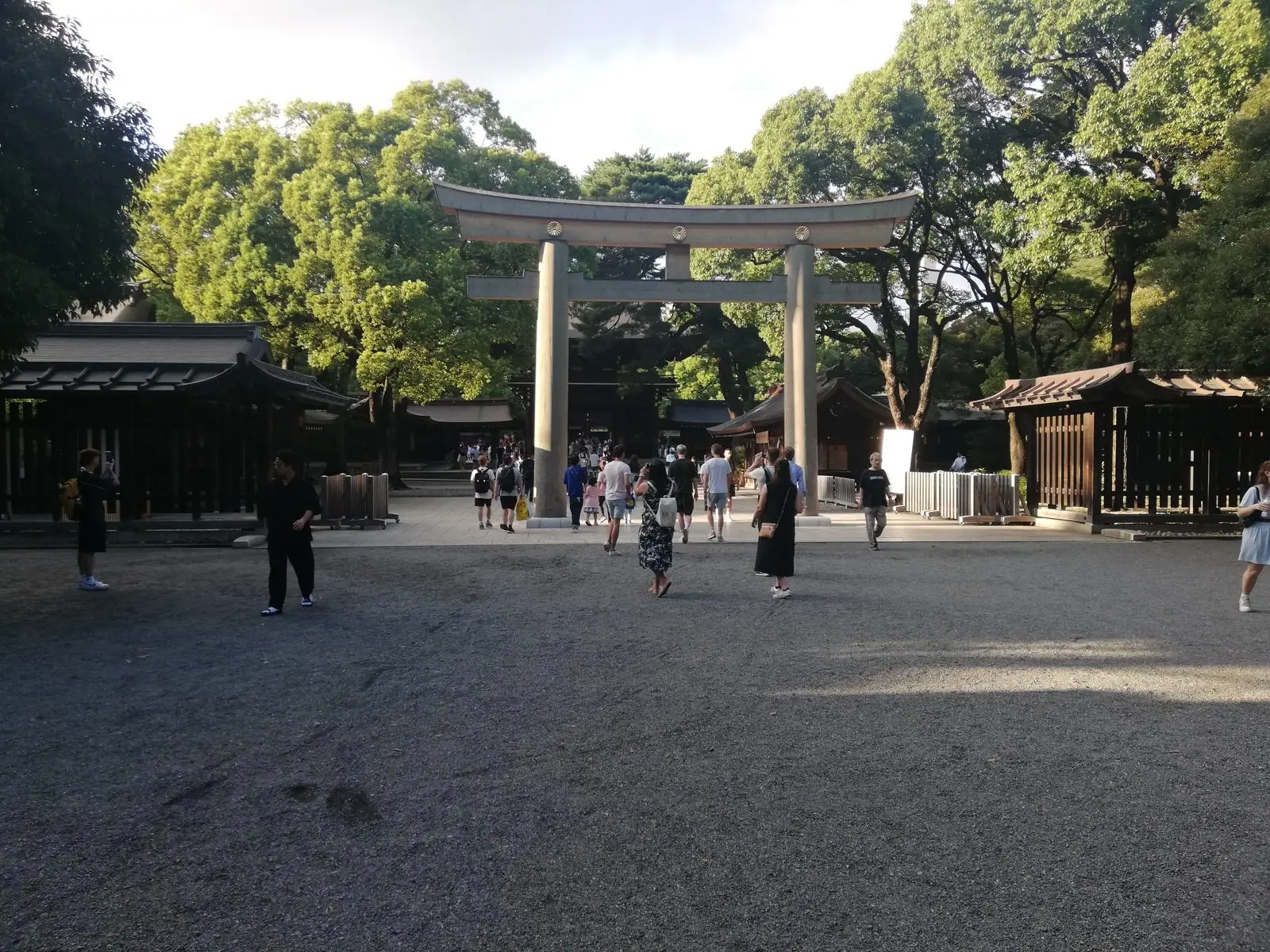 Forest path at Meiji Shrine - quiet escape near Harajuku