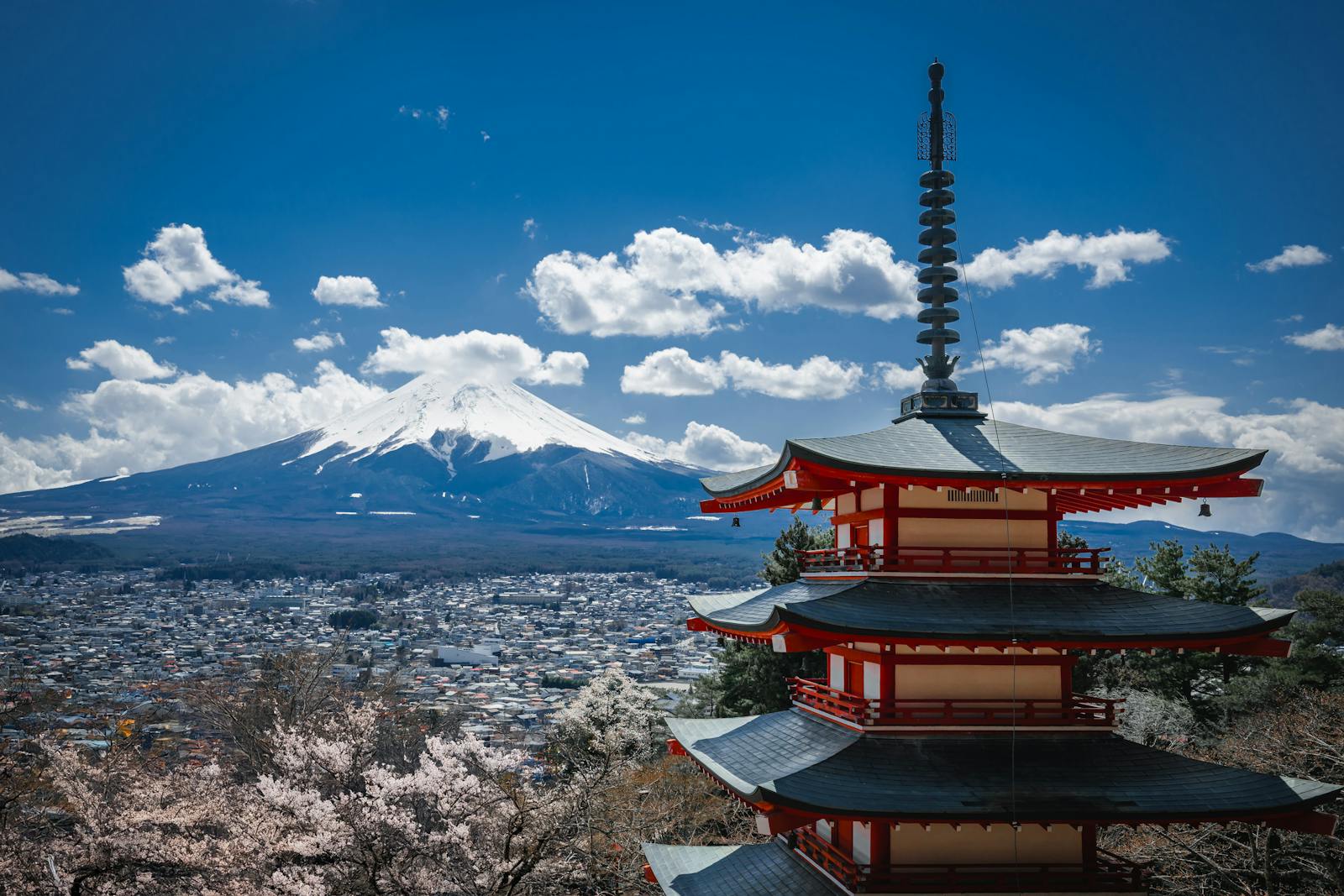 Chureito Pagoda framed by cherry blossoms with Mt. Fuji in the background — the iconic Route B viewpoint