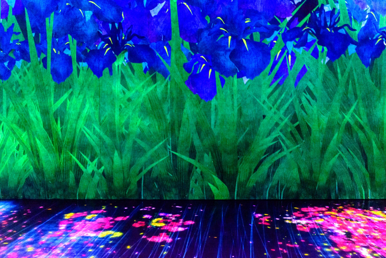 Una obra digital de flores y hierba proyectada por paredes y suelo en teamLab Borderless