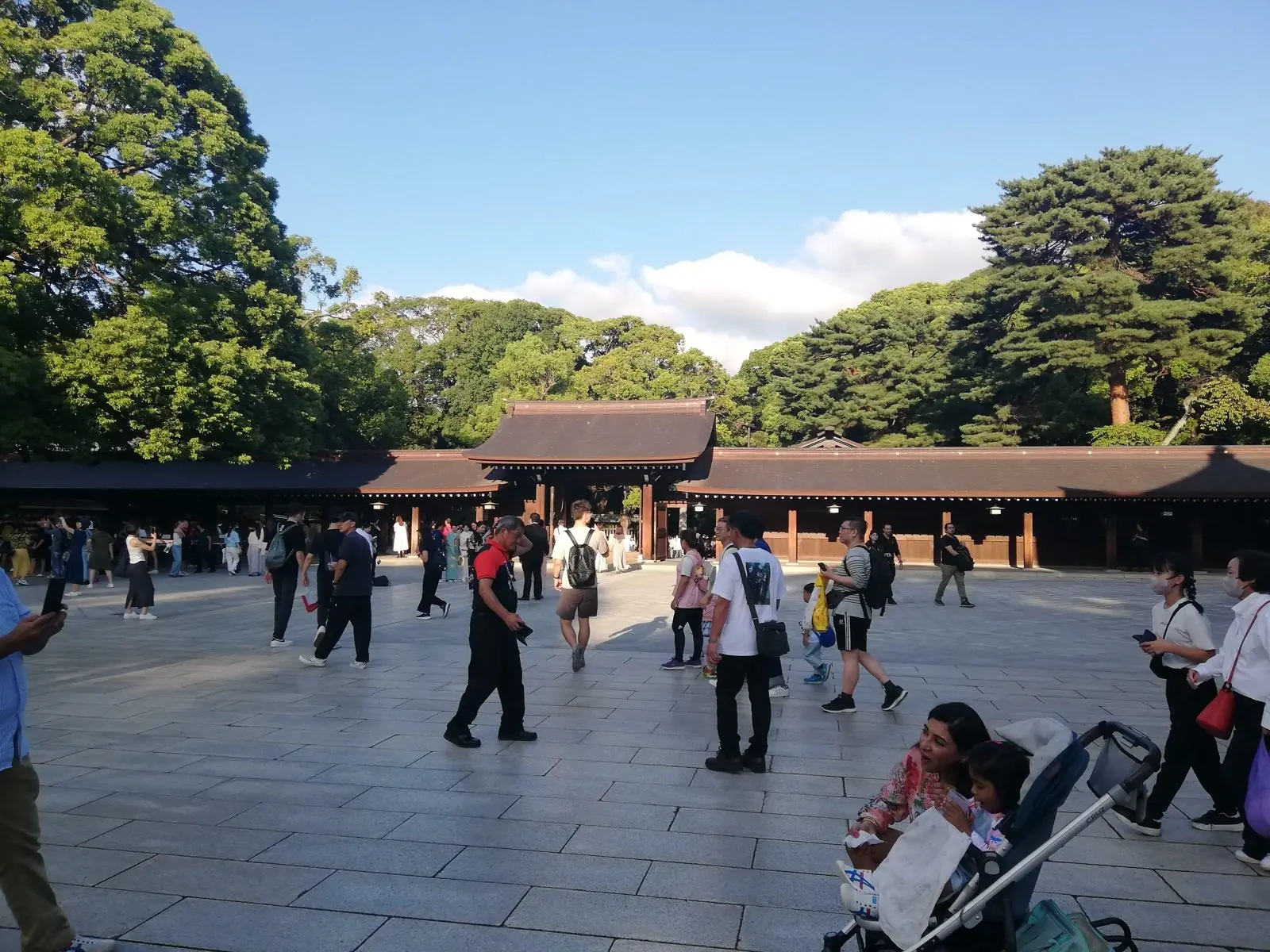 Best Time to Visit Tokyo: A Month-by-Month Guide