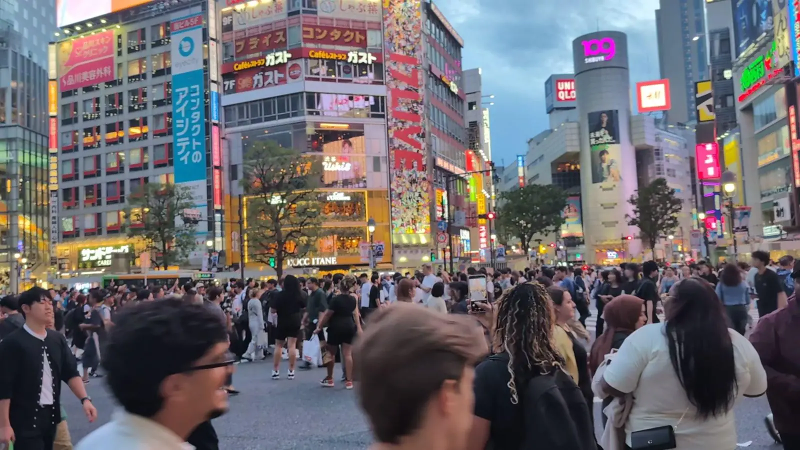 Tokyo 5 Day Itinerary: A Licensed Guide's Plan